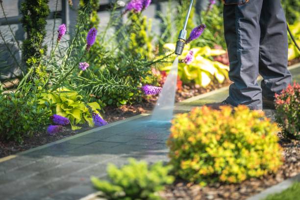  Brookside, AL Pressure Washing Pros