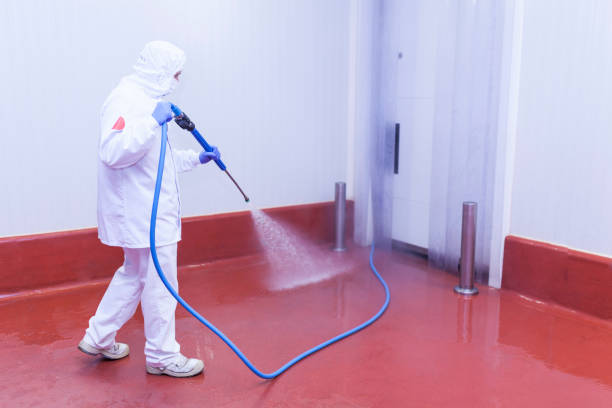 Reliable Brookside, AL Pressure Washing Solutions